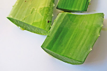 Aloe Vera fuer reine Haut