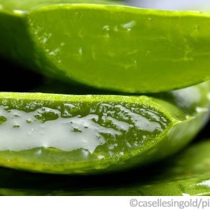 aloe vera gel