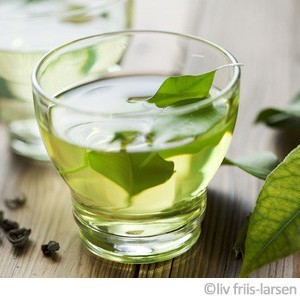 aloe vera trinken