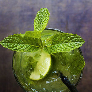 Alkoholfreier Mojito mit Aloe Vera